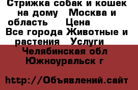 Стрижка собак и кошек на дому.  Москва и область.  › Цена ­ 1 200 - Все города Животные и растения » Услуги   . Челябинская обл.,Южноуральск г.